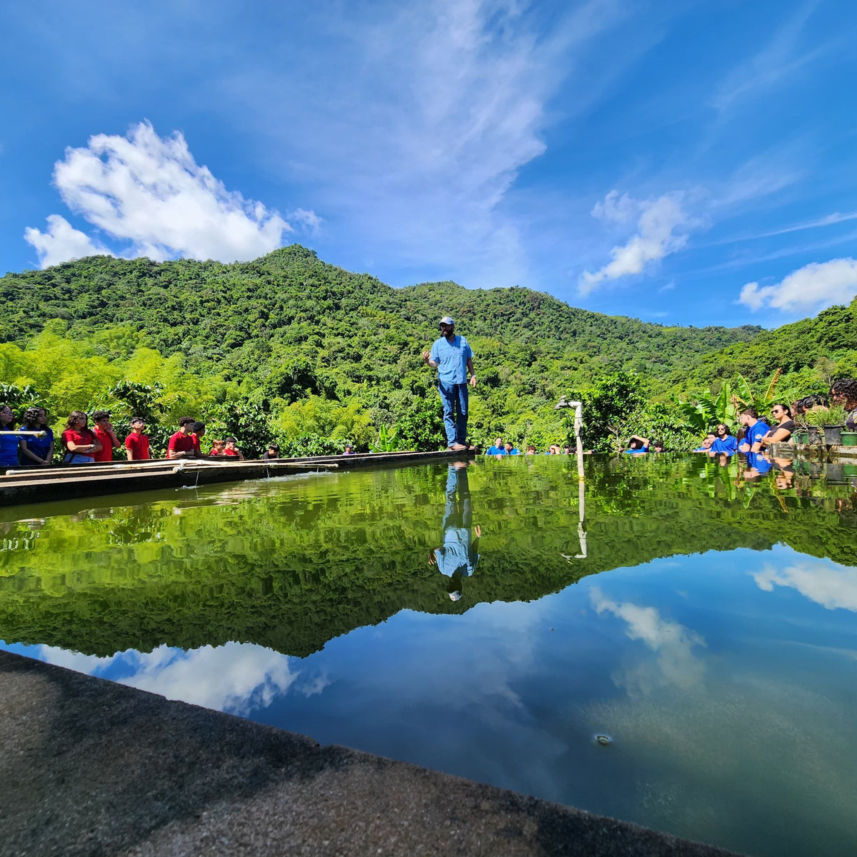 Café y Navidad Adjuntas