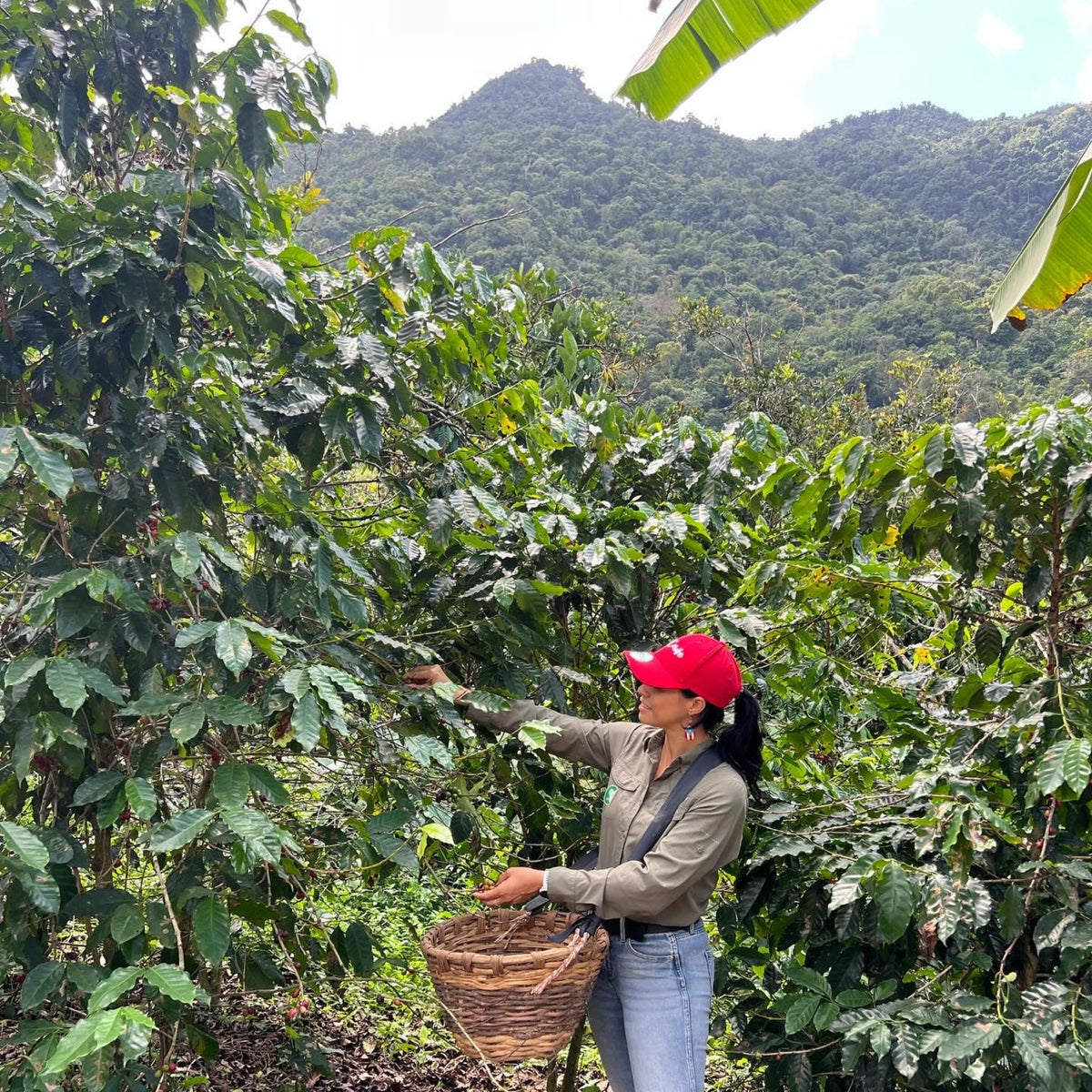 Café y Navidad Adjuntas