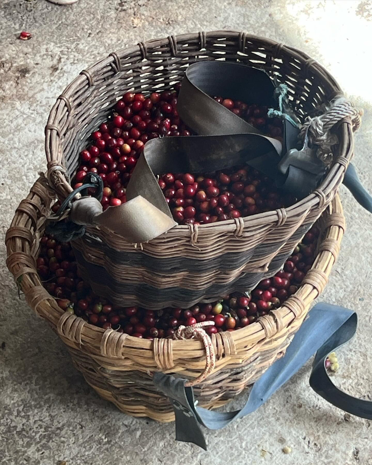 Café y Navidad Adjuntas