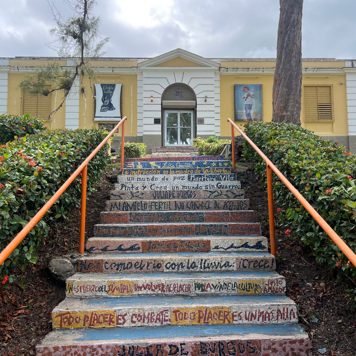 Ruta Cayey: Historia, Cultura y Sazón