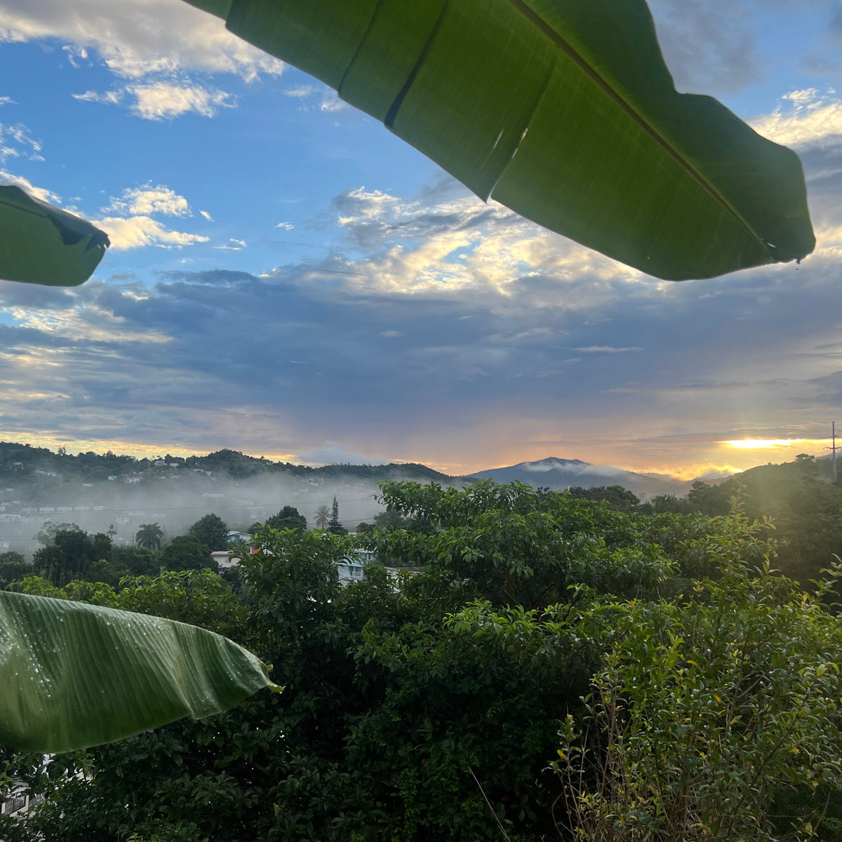 Reyando en Navidad: Caguas y Cayey