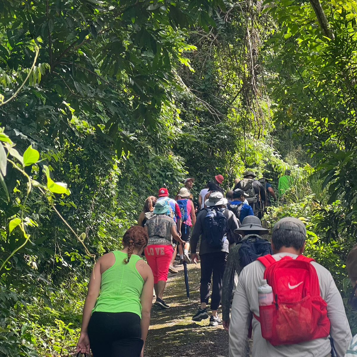 Escalando los Cerros de Tibes