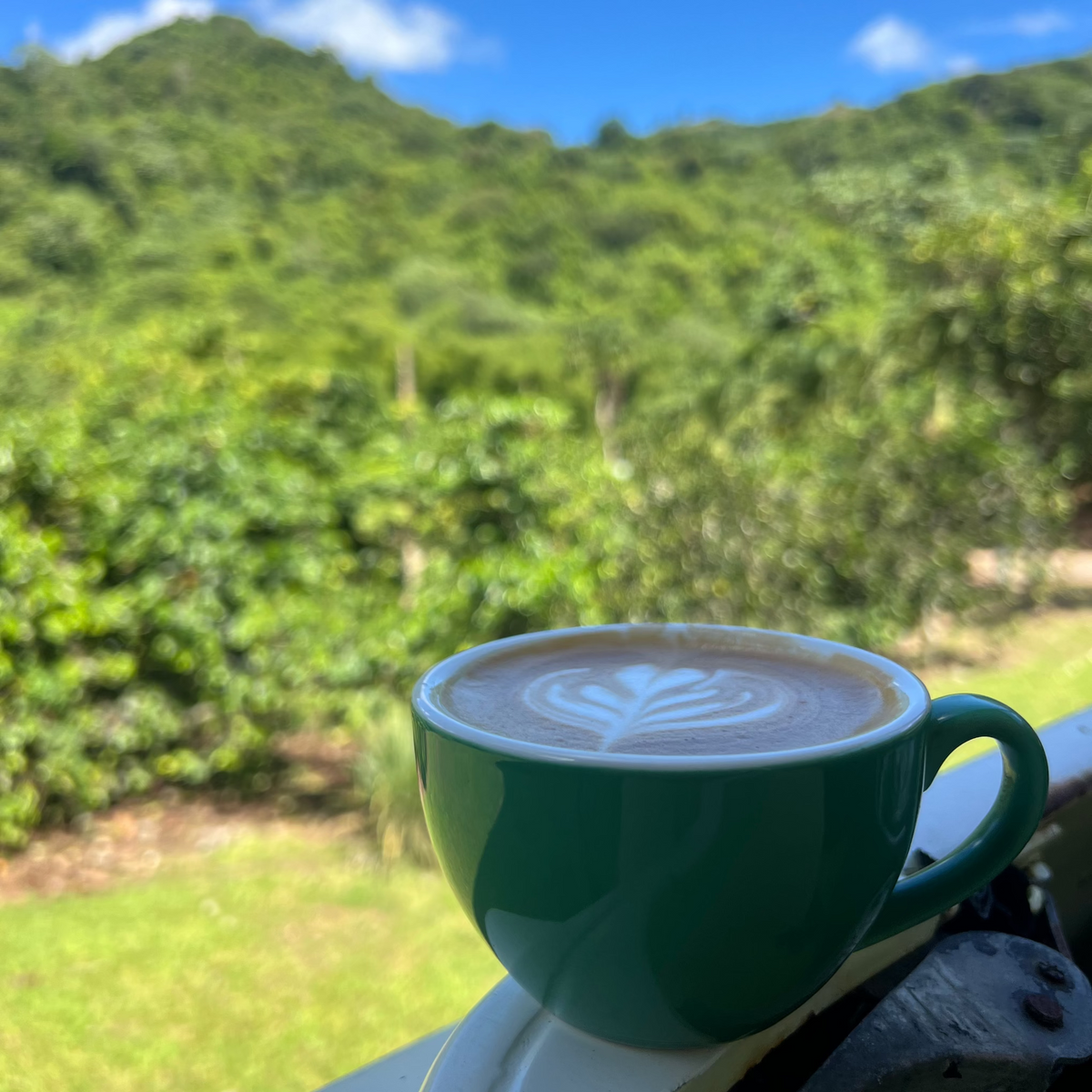 Café y Navidad Adjuntas