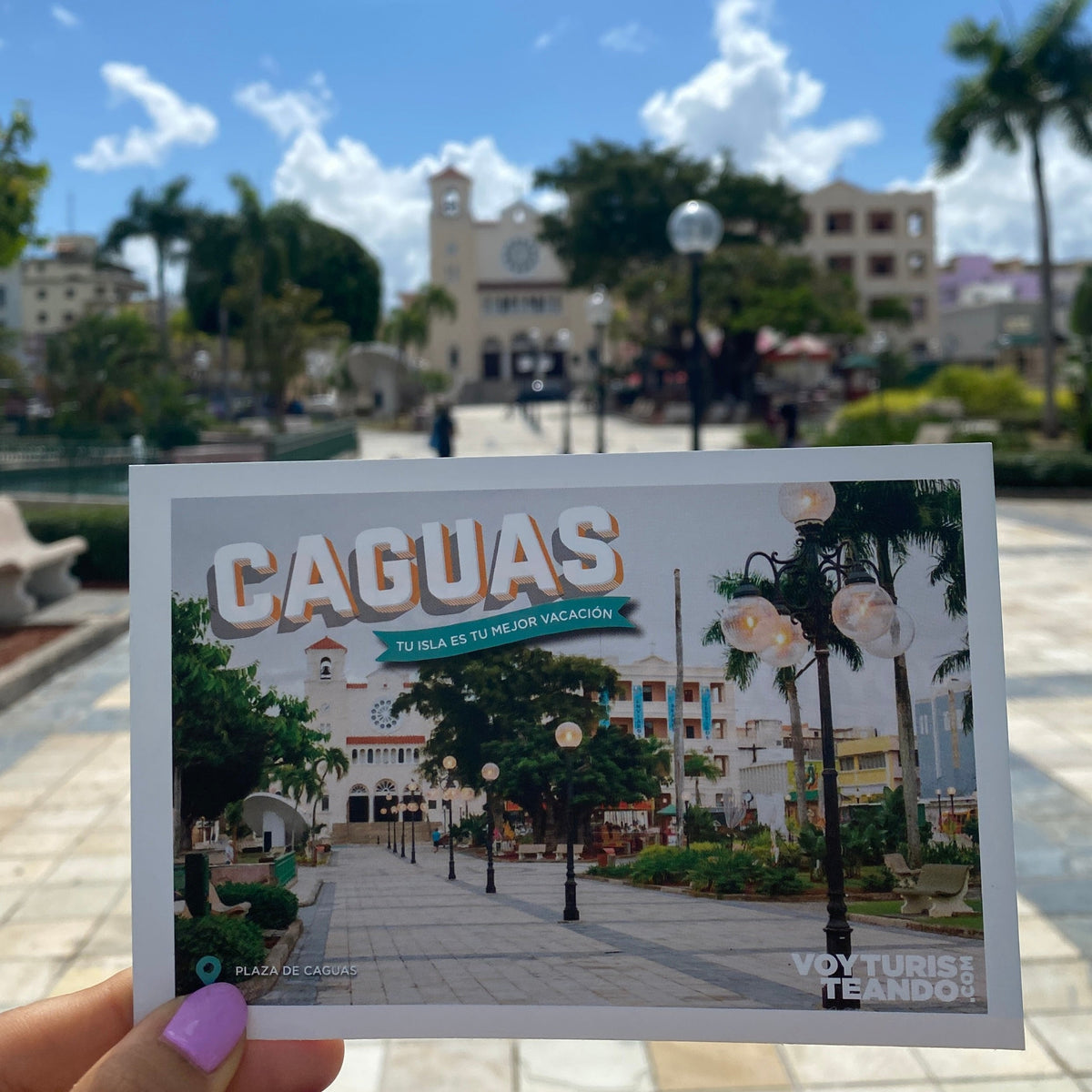 Reyando en Navidad: Caguas y Cayey