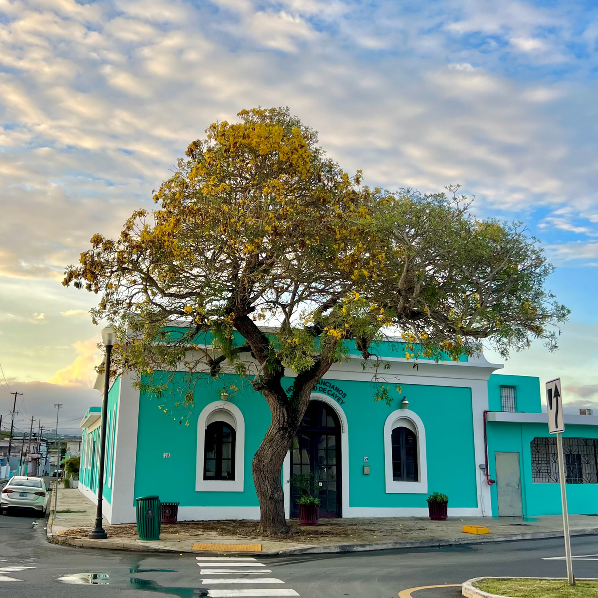 Ruta Cayey: Historia, Cultura y Sazón
