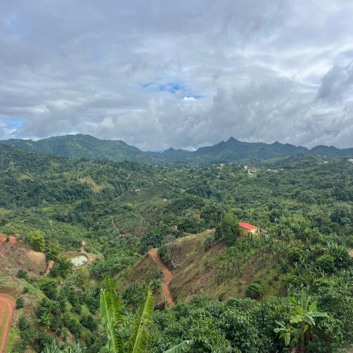 Café y Navidad Adjuntas