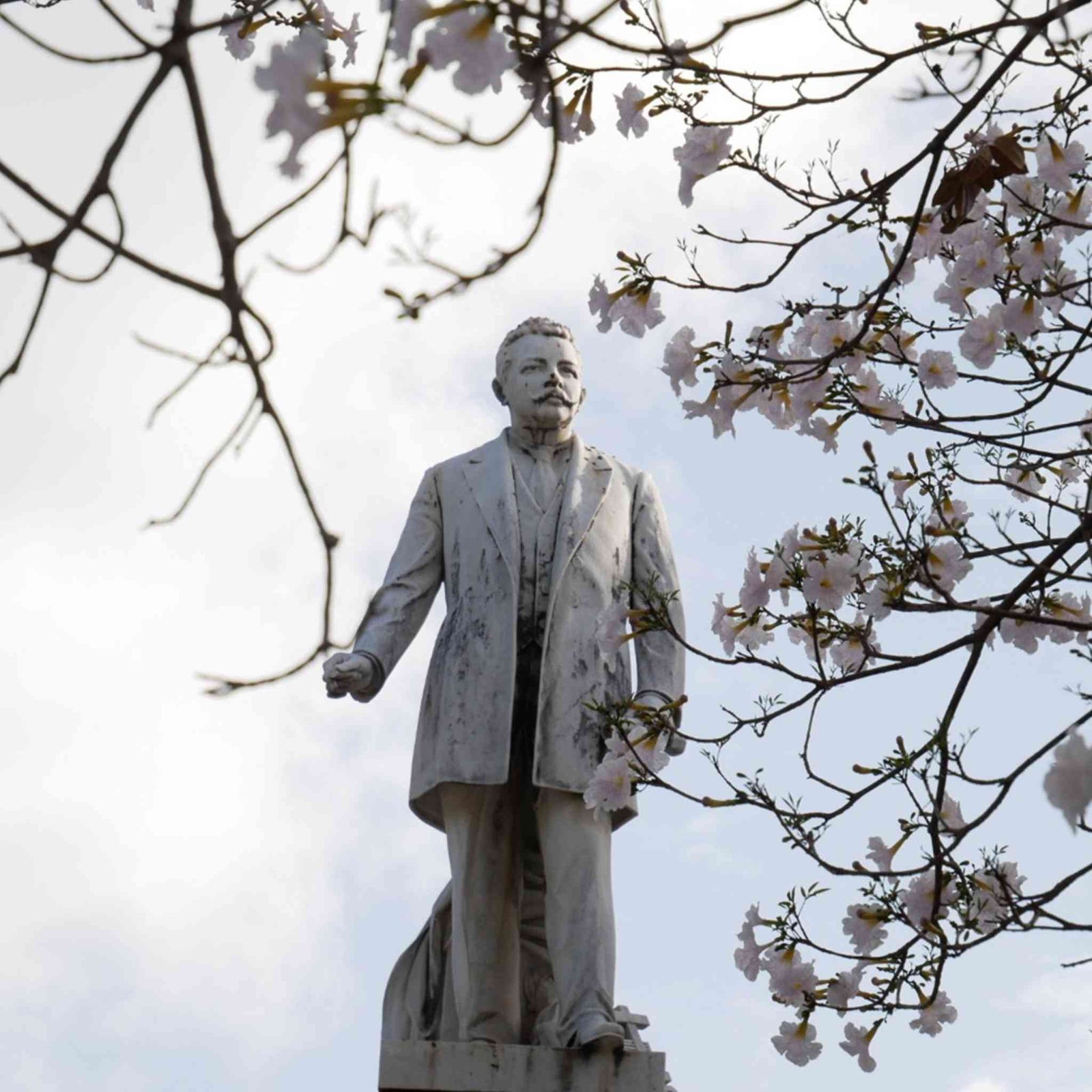 Foto de Juan Morel Campos.