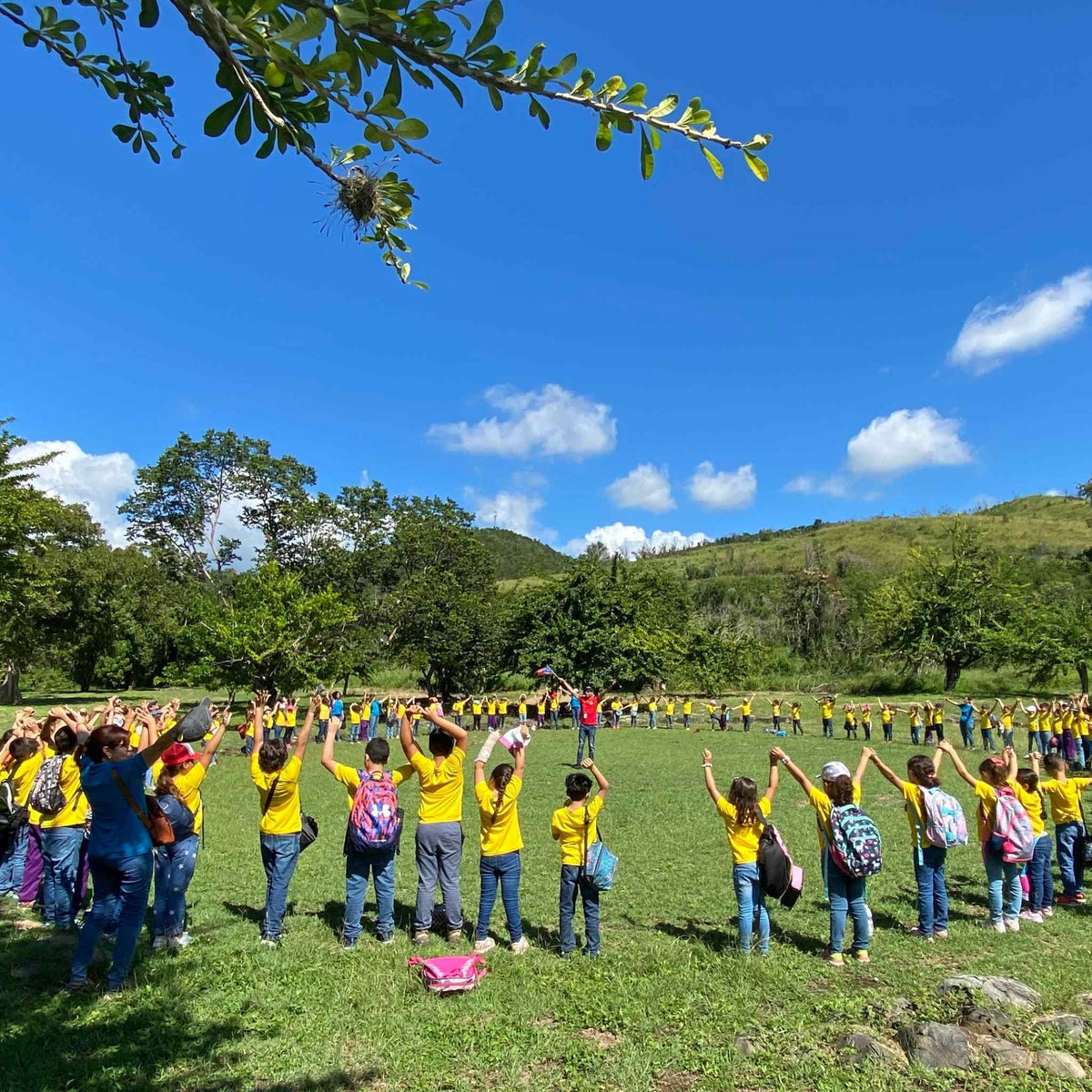 Tibes Indigena/Arqueológico