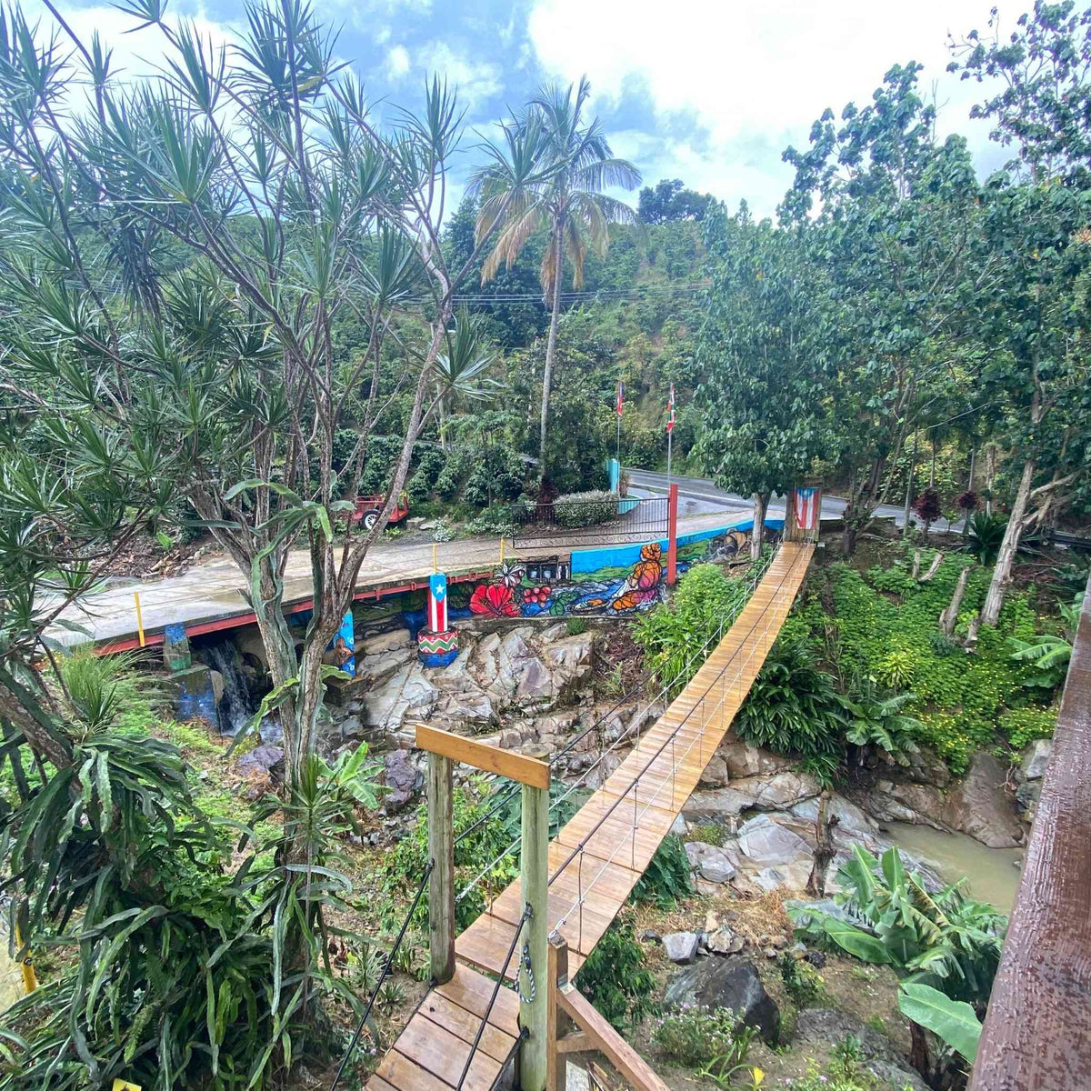 Hacienda de café Tres Picachos en Jayuya.
