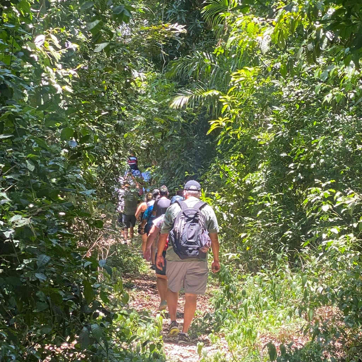 Hiking trails in Ponce.