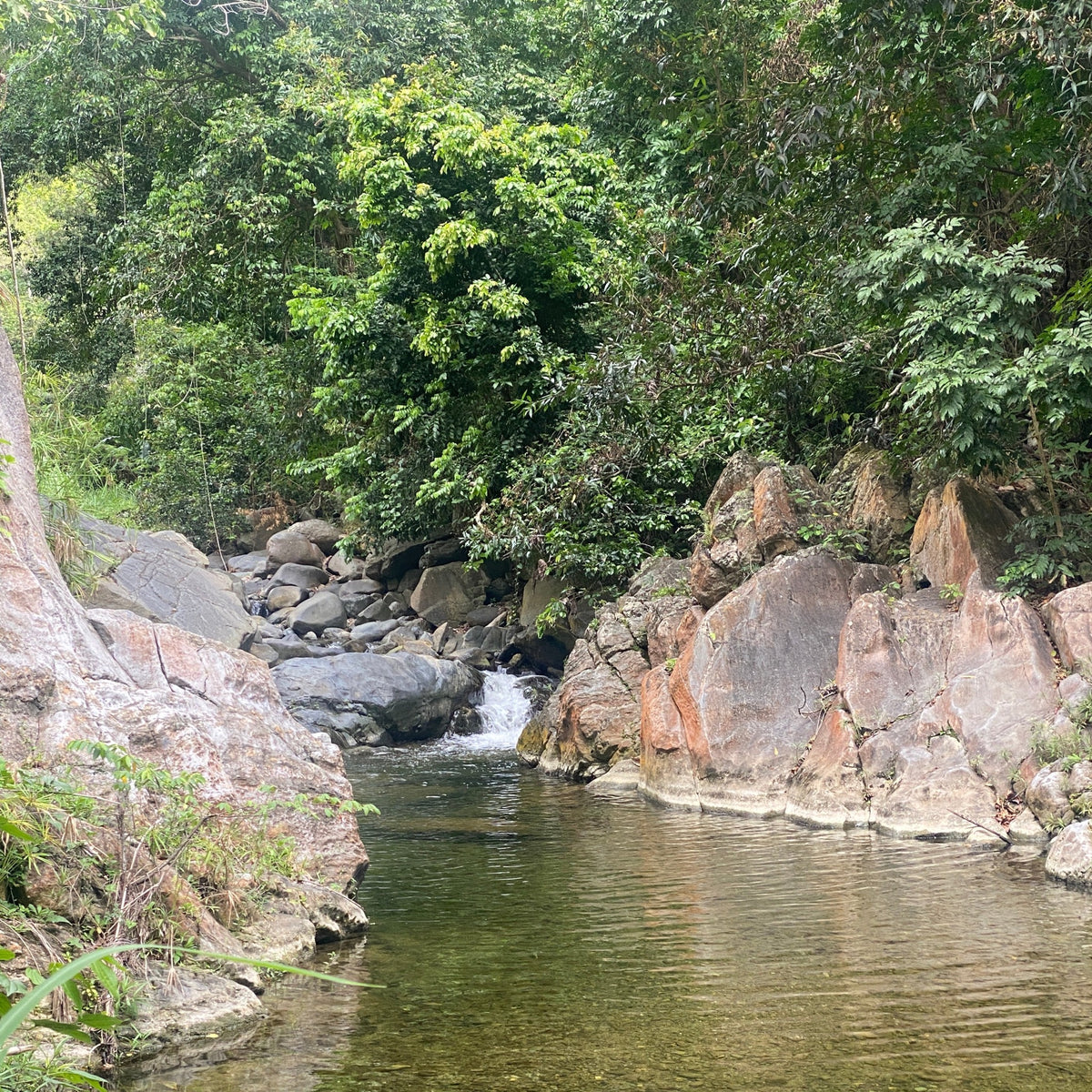 Escalando los Cerros de Tibes