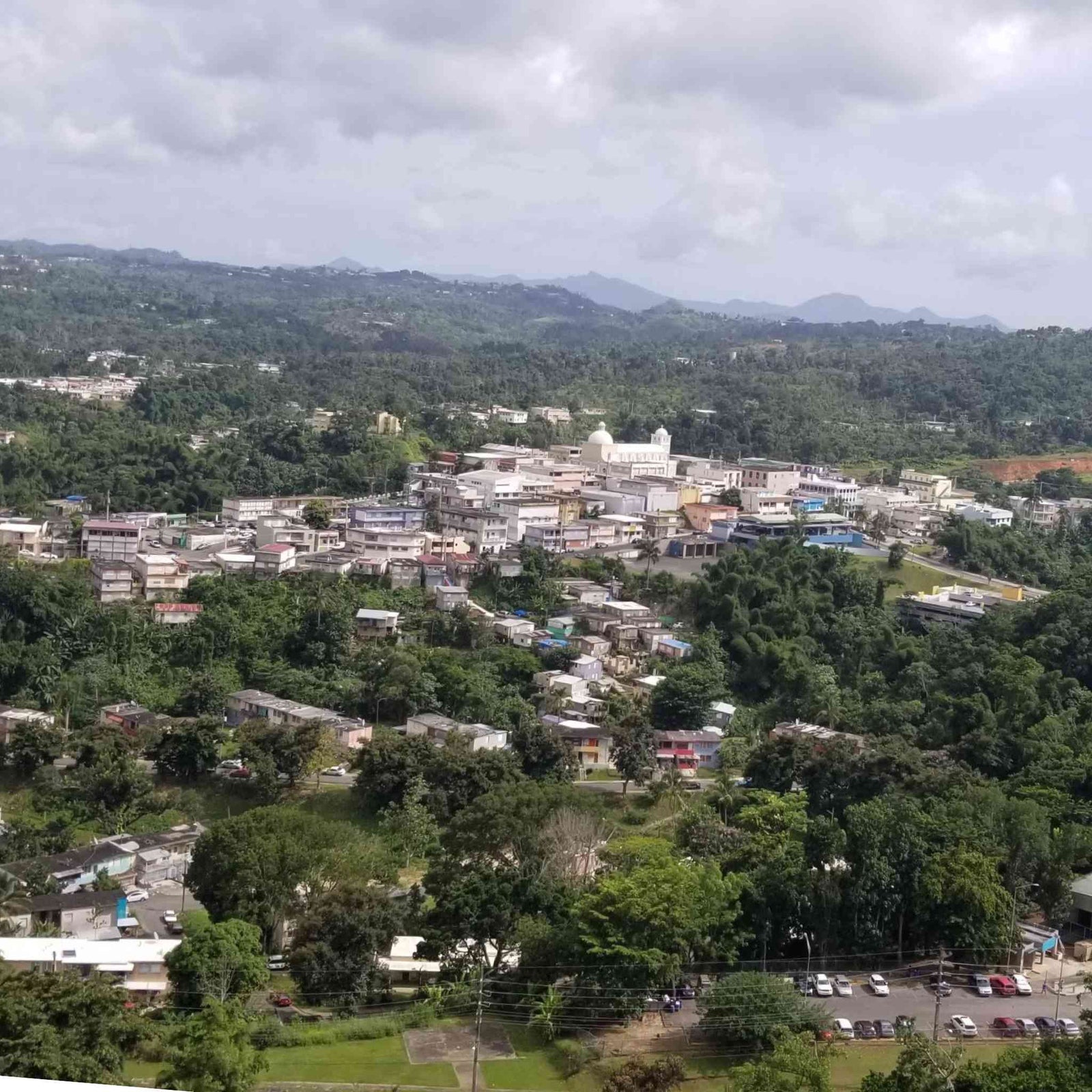 Busto de Ramon Emeterio Betances en Lares.